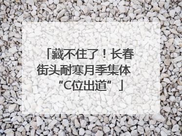 藏不住了！长春街头耐寒月季集体“C位出道”