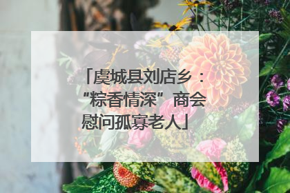 虞城县刘店乡：“粽香情深”商会慰问孤寡老人
