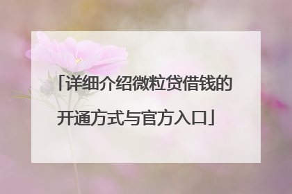 详细介绍微粒贷借钱的开通方式与官方入口