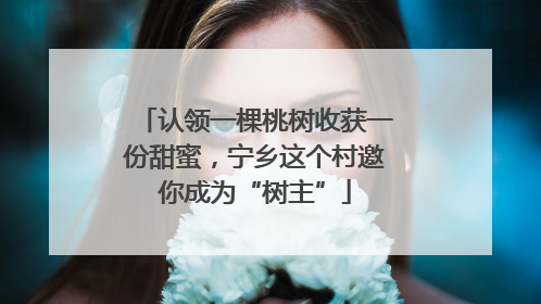 认领一棵桃树收获一份甜蜜，宁乡这个村邀你成为“树主”