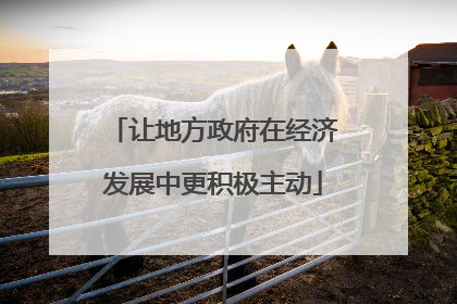 让地方政府在经济发展中更积极主动