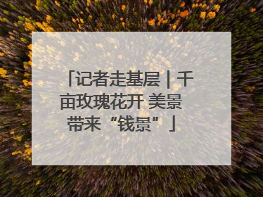记者走基层｜千亩玫瑰花开 美景带来“钱景”