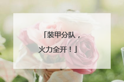 装甲分队，火力全开！