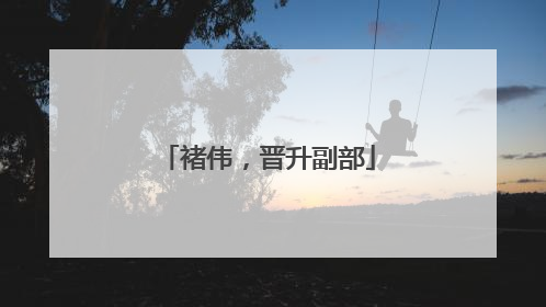 褚伟，晋升副部