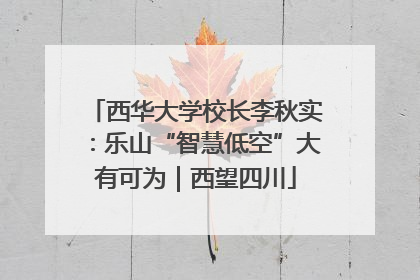 西华大学校长李秋实：乐山“智慧低空”大有可为｜西望四川