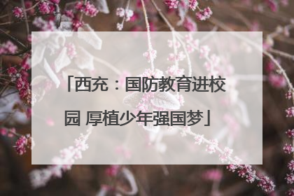 西充：国防教育进校园 厚植少年强国梦