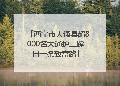 西宁市大通县超8000名大通护工蹚出一条致富路