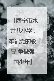 西宁市水井巷小学：牢记党的教导 争做强国少年