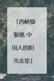 西峡猕猴桃 中国人的阳光金果