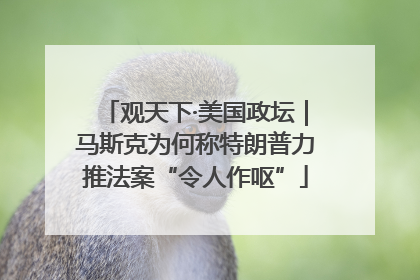 观天下·美国政坛｜马斯克为何称特朗普力推法案“令人作呕”