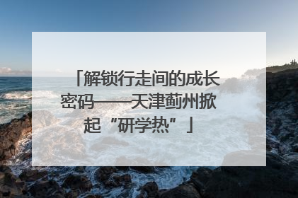 解锁行走间的成长密码——天津蓟州掀起“研学热”