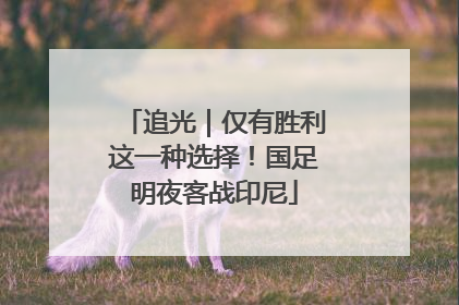 追光｜仅有胜利这一种选择！国足明夜客战印尼