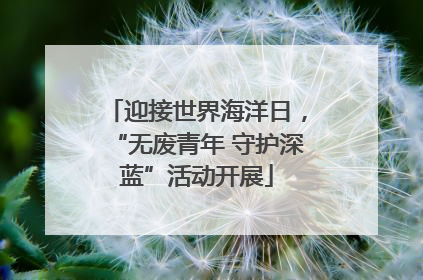 迎接世界海洋日，“无废青年 守护深蓝”活动开展