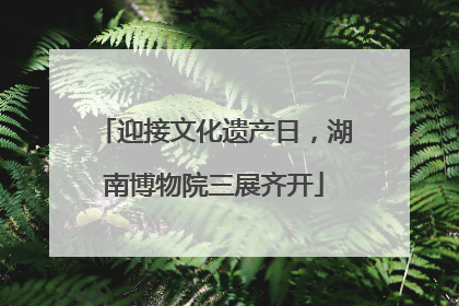 迎接文化遗产日，湖南博物院三展齐开