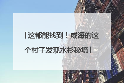 这都能找到！威海的这个村子发现水杉秘境