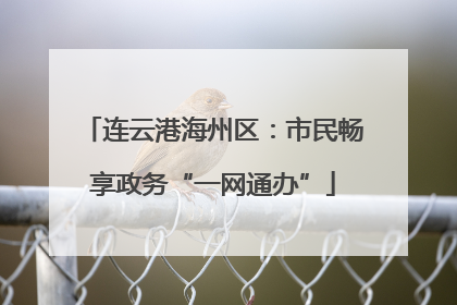 连云港海州区：市民畅享政务“一网通办”
