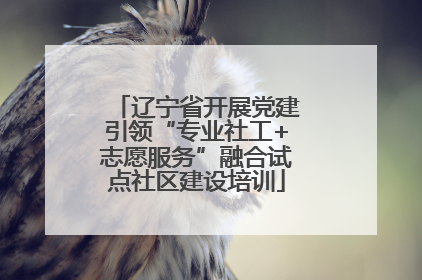 辽宁省开展党建引领“专业社工+志愿服务”融合试点社区建设培训