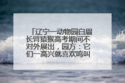 辽宁一动物园白眉长臂猿猴高考期间不对外展出，园方：它们一高兴就喜欢鸣叫，怕影响考试