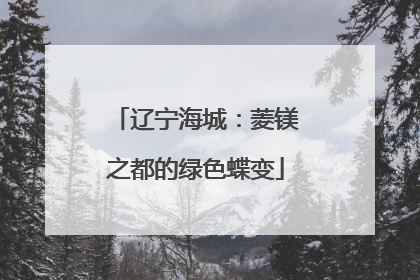 辽宁海城：菱镁之都的绿色蝶变