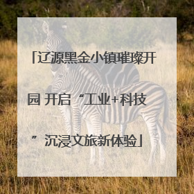 辽源黑金小镇璀璨开园 开启“工业+科技”沉浸文旅新体验