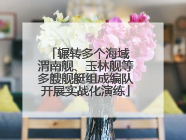 辗转多个海域 渭南舰、玉林舰等多艘舰艇组成编队开展实战化演练