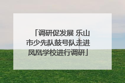 调研促发展 乐山市少先队鼓号队走进凤凰学校进行调研
