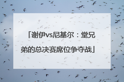 谢伊vs尼基尔：堂兄弟的总决赛席位争夺战