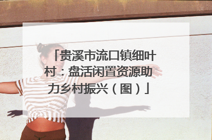 贵溪市流口镇细叶村：盘活闲置资源助力乡村振兴（图）