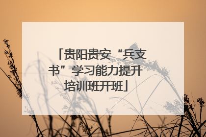 贵阳贵安“兵支书”学习能力提升培训班开班