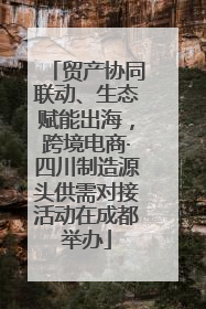 贸产协同联动、生态赋能出海，跨境电商·四川制造源头供需对接活动在成都举办