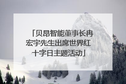 贝昂智能董事长冉宏宇先生出席世界红十字日主题活动