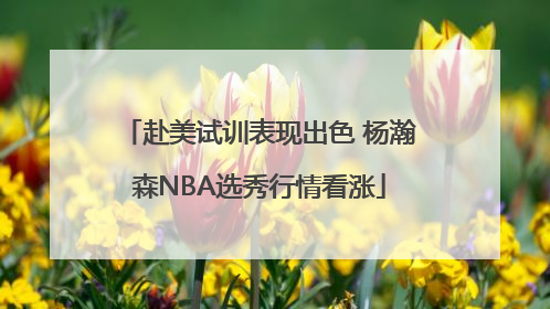 赴美试训表现出色 杨瀚森NBA选秀行情看涨