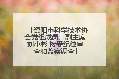 资阳市科学技术协会党组成员、副主席刘小彬 接受纪律审查和监察调查