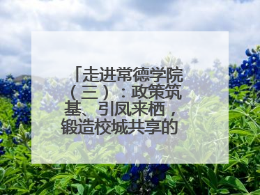 走进常德学院（三）：政策筑基、引凤来栖，锻造校城共享的“双师铁军”