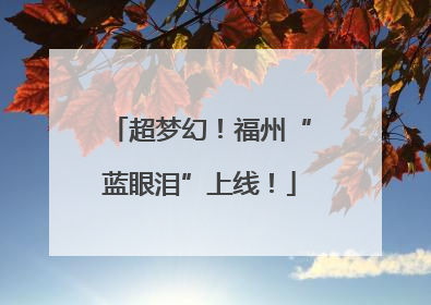 超梦幻！福州“蓝眼泪”上线！