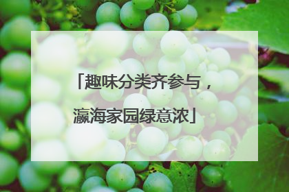 趣味分类齐参与，瀛海家园绿意浓