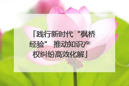 践行新时代“枫桥经验” 推动知识产权纠纷高效化解
