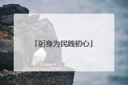 躬身为民践初心