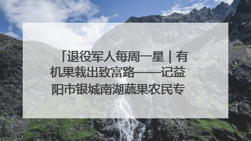 退役军人每周一星｜有机果栽出致富路——记益阳市银城南湖蔬果农民专业合作社总经理晏桂明