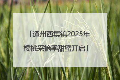 通州西集镇2025年樱桃采摘季甜蜜开启