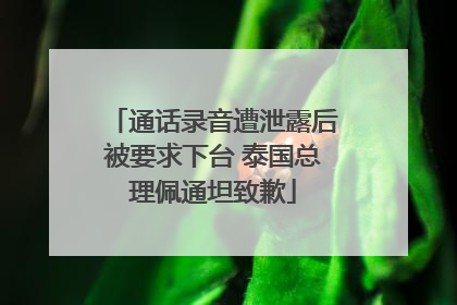通话录音遭泄露后被要求下台 泰国总理佩通坦致歉