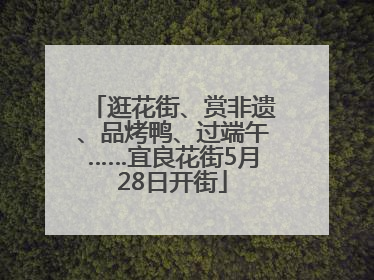 逛花街、赏非遗、品烤鸭、过端午……宜良花街5月28日开街