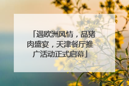遇欧洲风情，品猪肉盛宴，天津餐厅推广活动正式启幕
