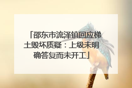 邵东市流泽镇回应梯土毁坏质疑：上级未明确答复而未开工