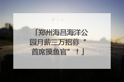 郑州海昌海洋公园月薪三万招募“首席摸鱼官”！
