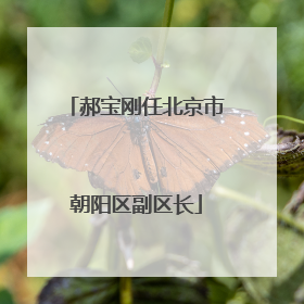 郝宝刚任北京市朝阳区副区长