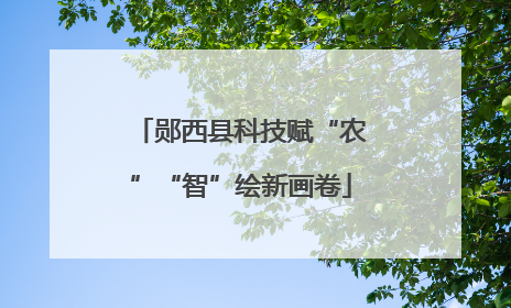 郧西县科技赋“农”“智”绘新画卷