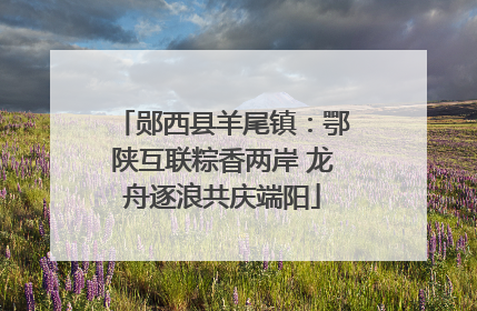 郧西县羊尾镇：鄂陕互联粽香两岸 龙舟逐浪共庆端阳