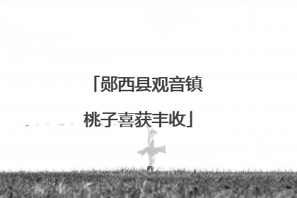 郧西县观音镇桃子喜获丰收