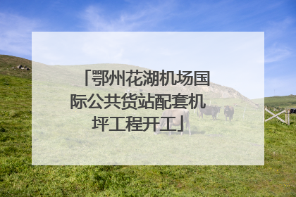 鄂州花湖机场国际公共货站配套机坪工程开工